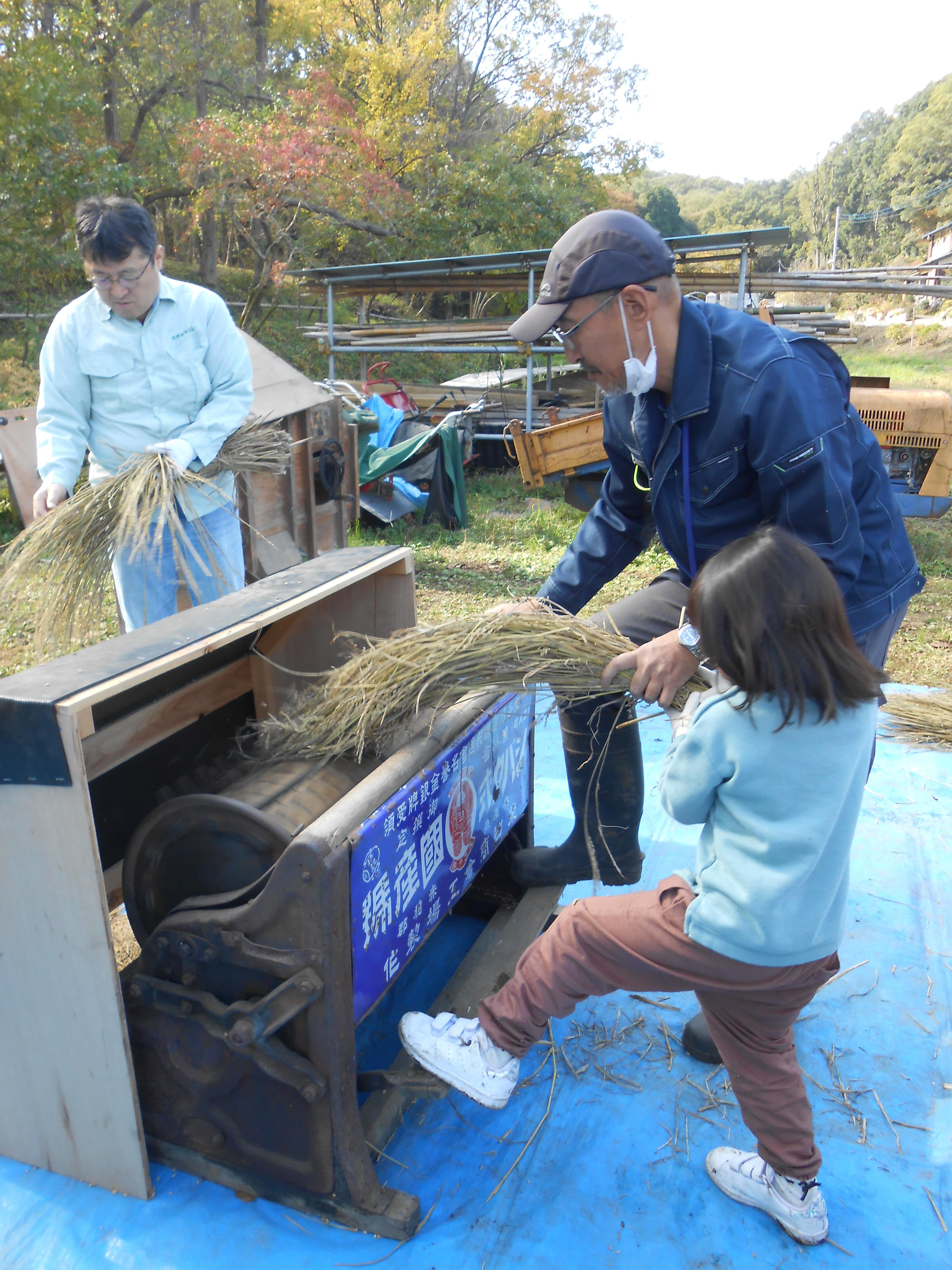 11 7 日 脱穀体験 お正月のわら飾りを作ろう 終了しました 親子のためのアウトドア 公益財団法人 東京ywca