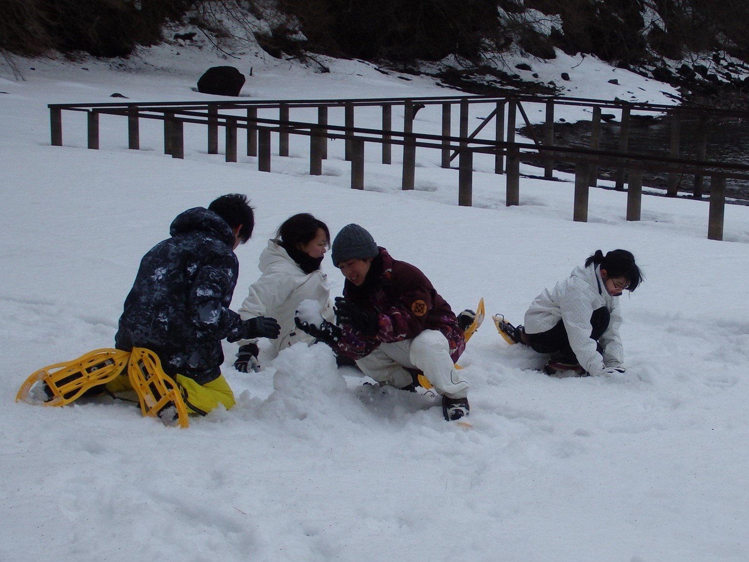 snowshoe.jpg
