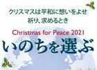 【終了報告】12/11(土）Christmas for Peace 2021（オンライン）